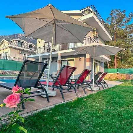 빌라 Dream 1 페티예